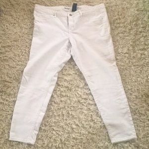 Mossimo Mid Rise Jegging. Size 16/33.